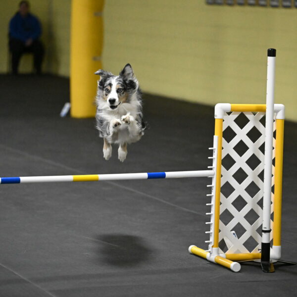 Kaiden-Armbrust-05755