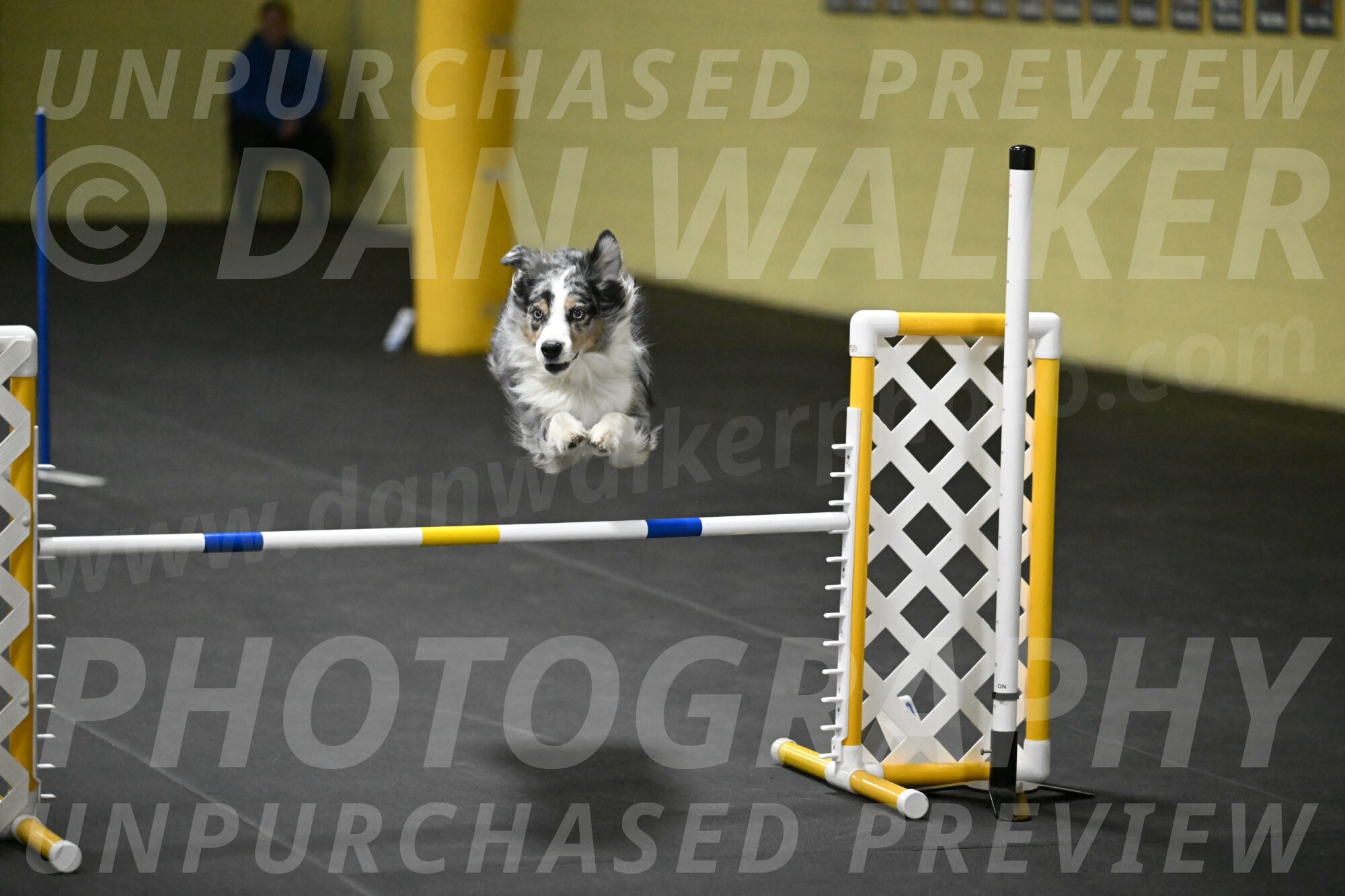 Kaiden-Armbrust-05756