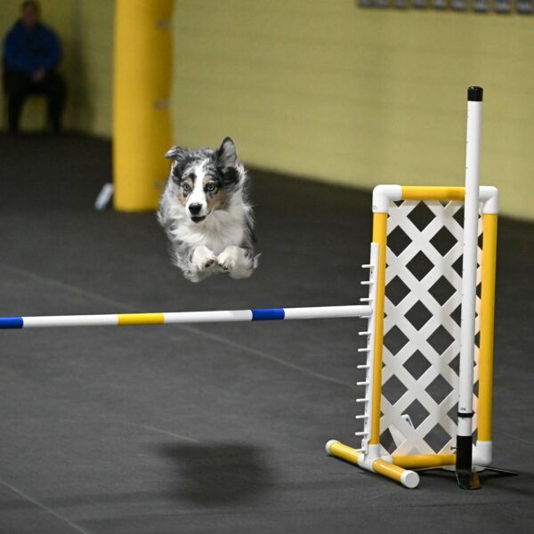 Kaiden-Armbrust-05756