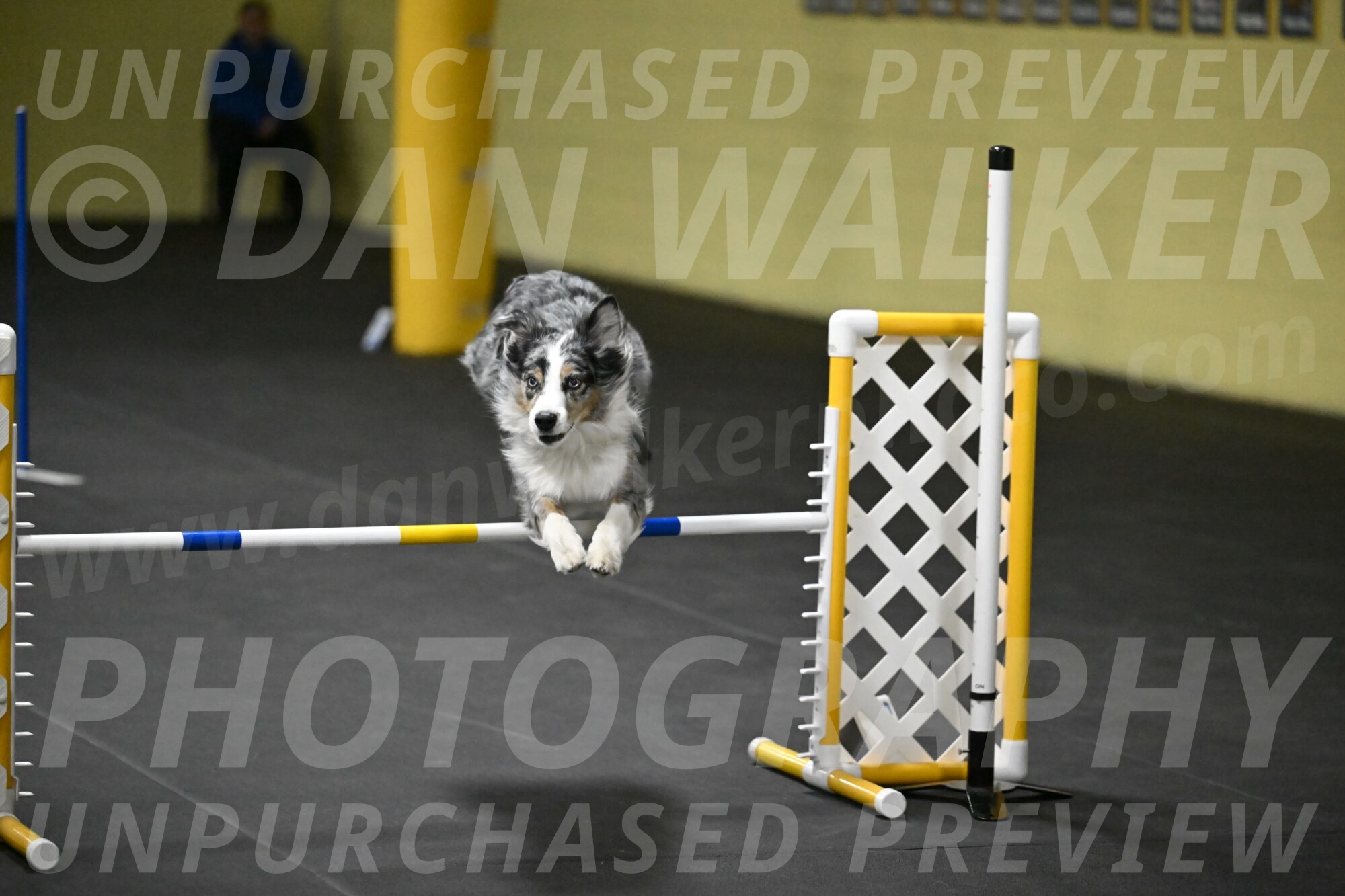 Kaiden-Armbrust-05757