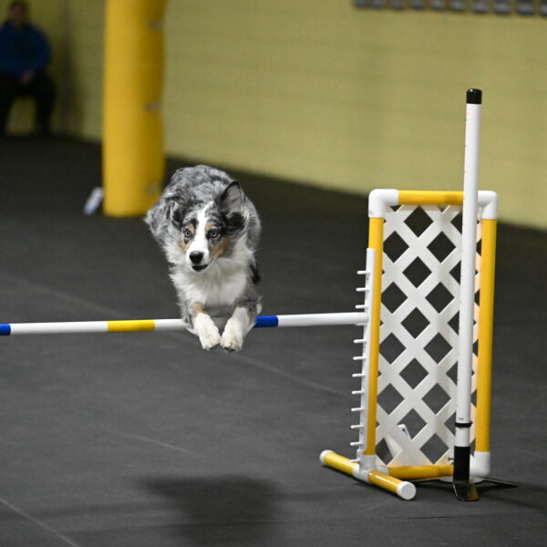 Kaiden-Armbrust-05757