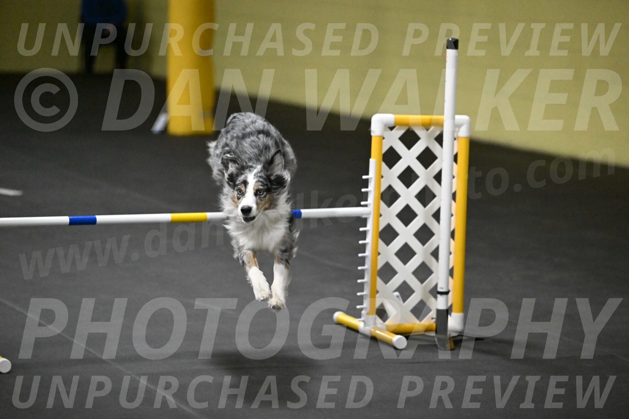 Kaiden-Armbrust-05758