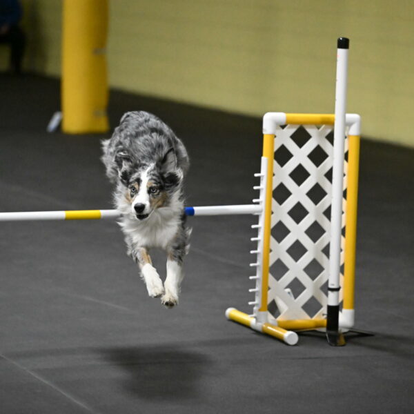 Kaiden-Armbrust-05758