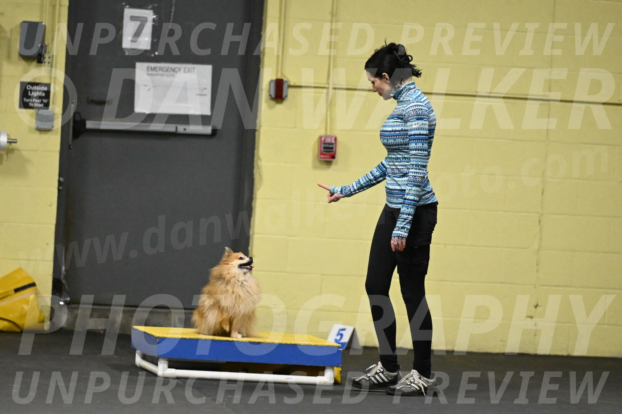 Komainu-DelBalso-11940