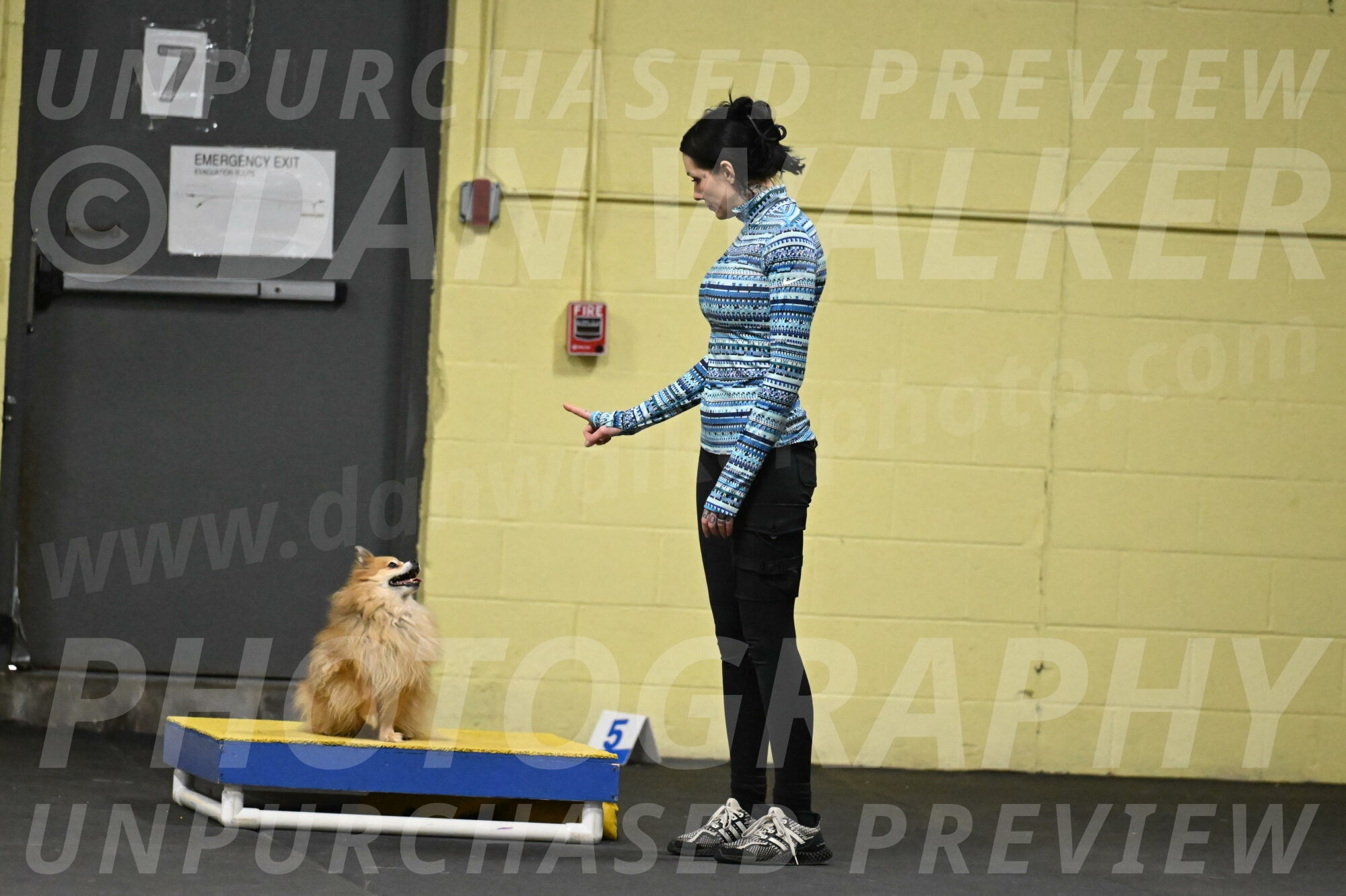 Komainu-DelBalso-11942