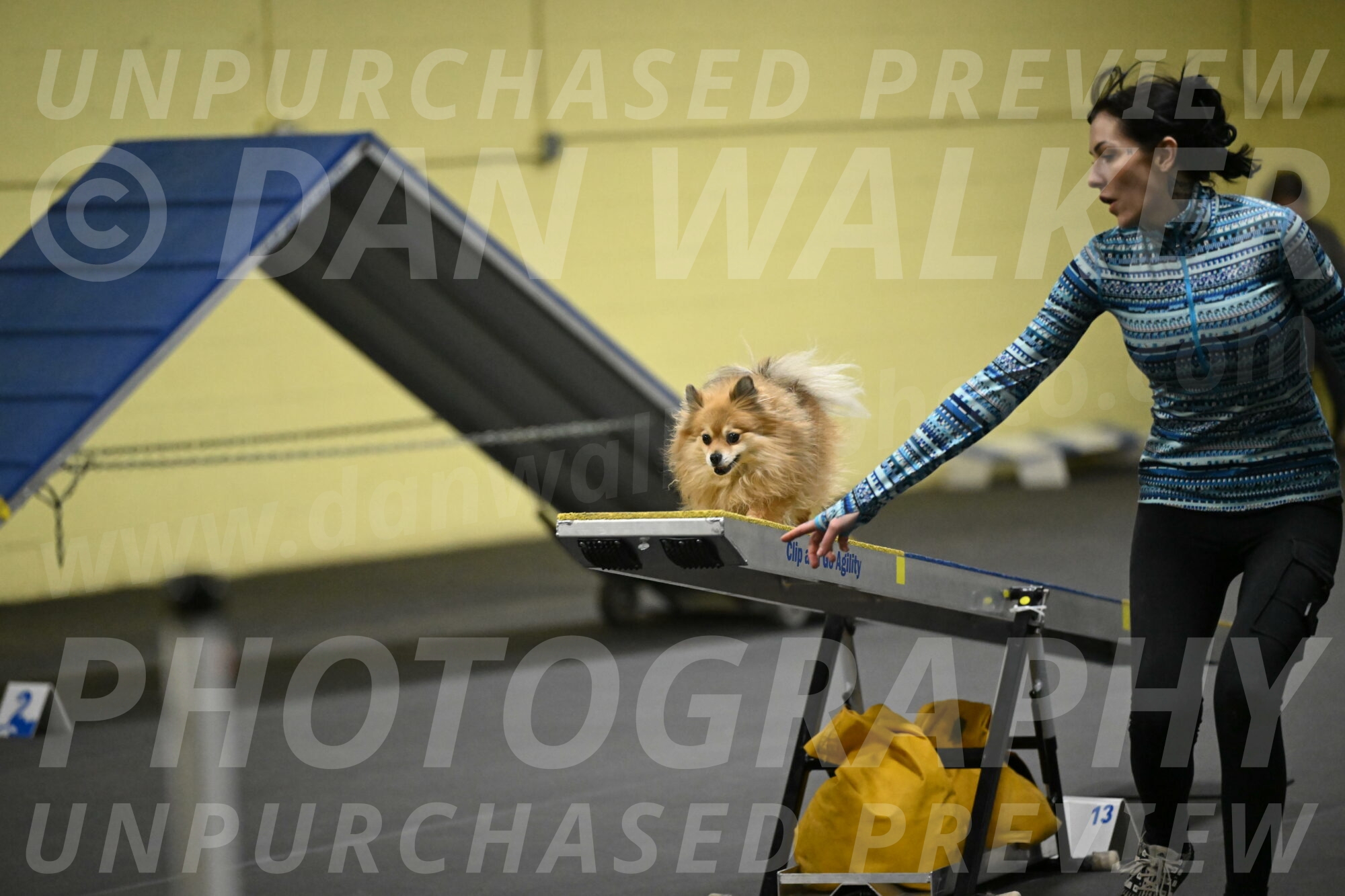 Komainu-DelBalso-12039