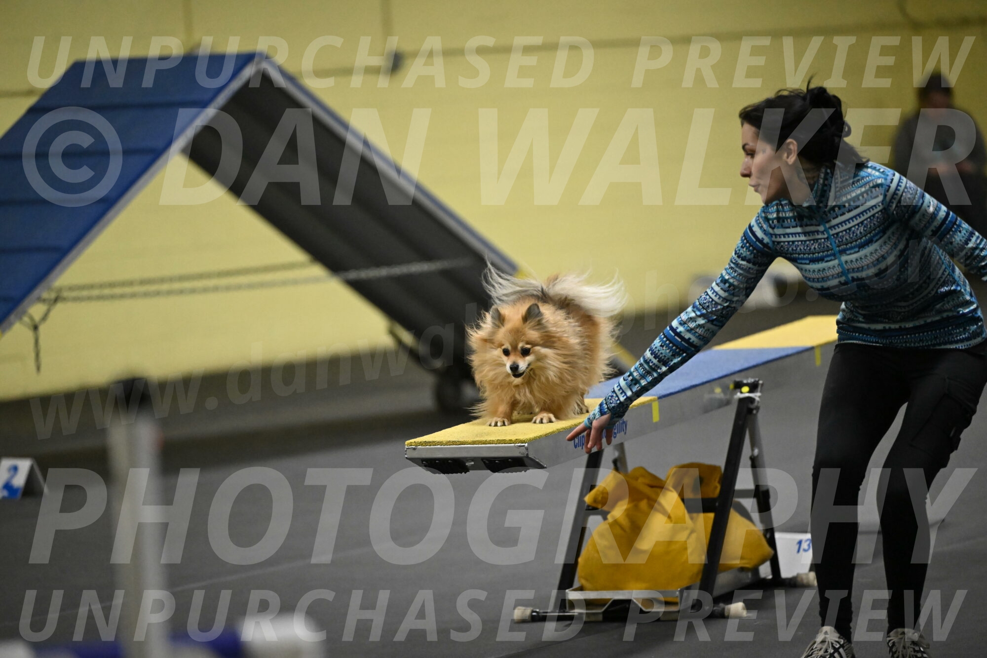 Komainu-DelBalso-12040