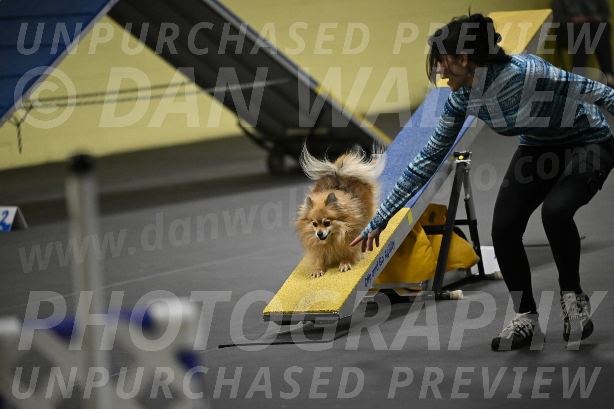 Komainu-DelBalso-12042