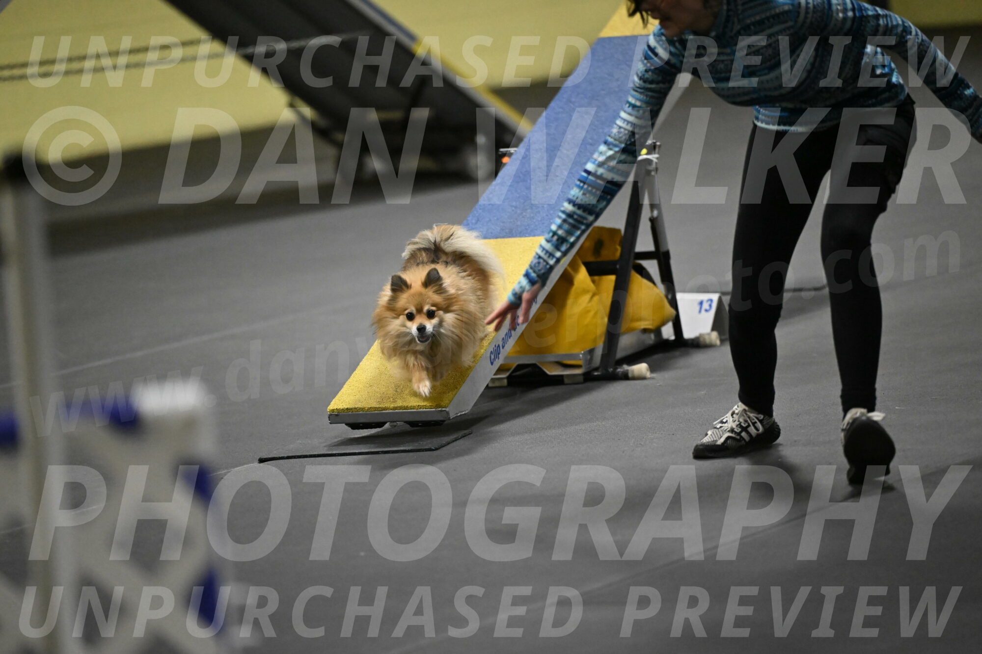 Komainu-DelBalso-12045