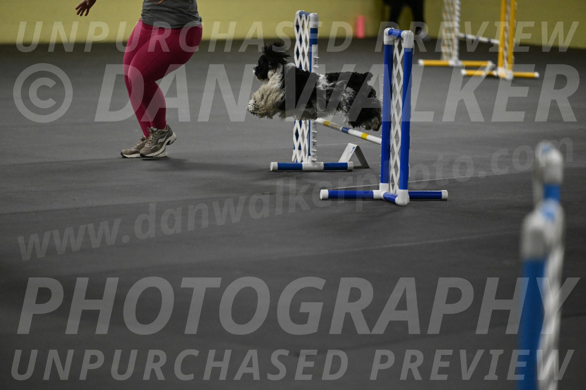 Latimer-Staats-13053