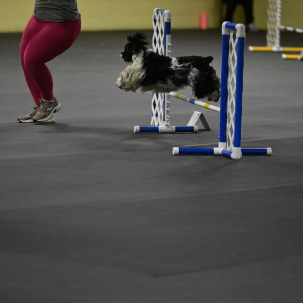 Latimer-Staats-13053