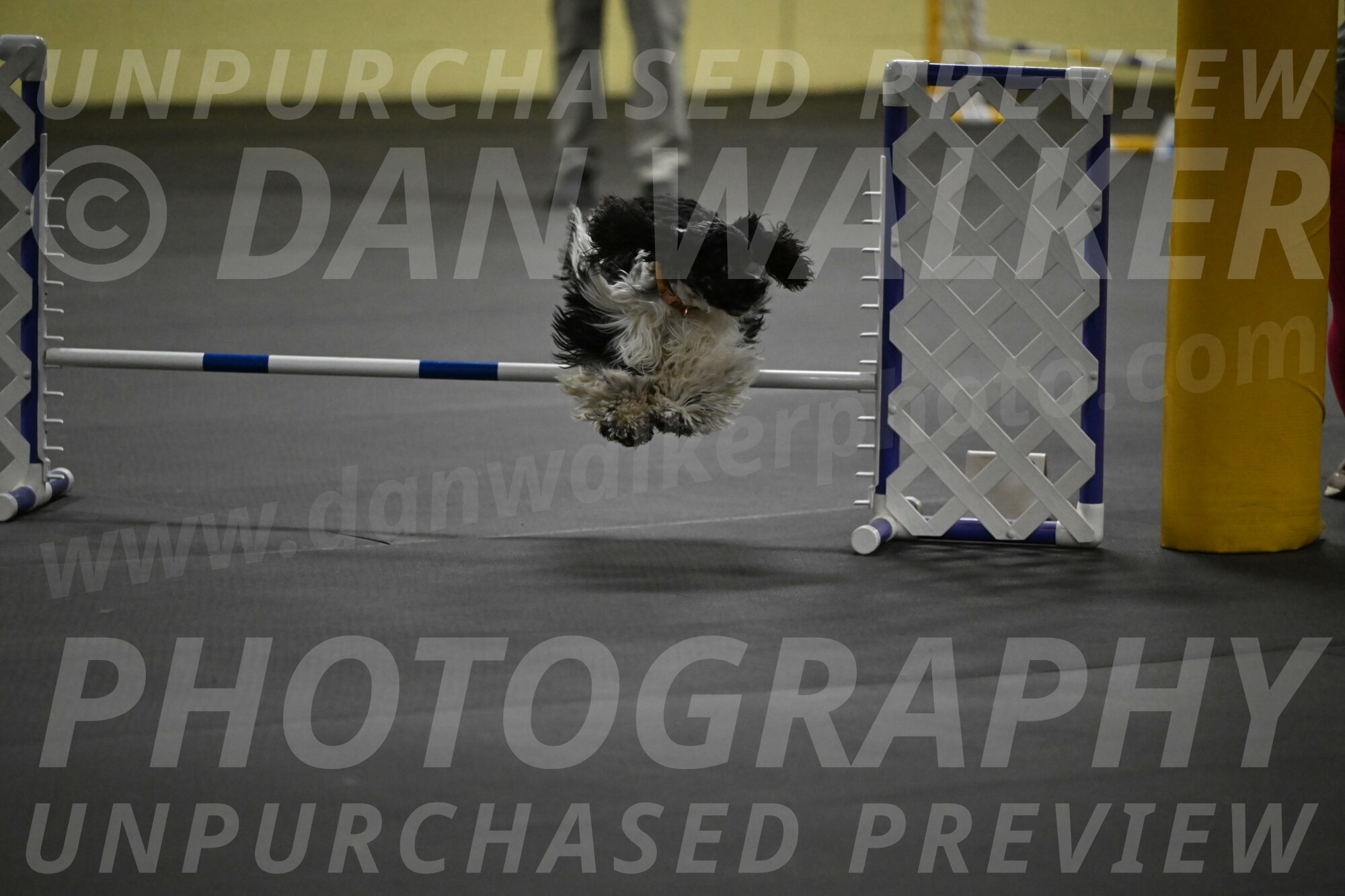 Latimer-Staats-13058