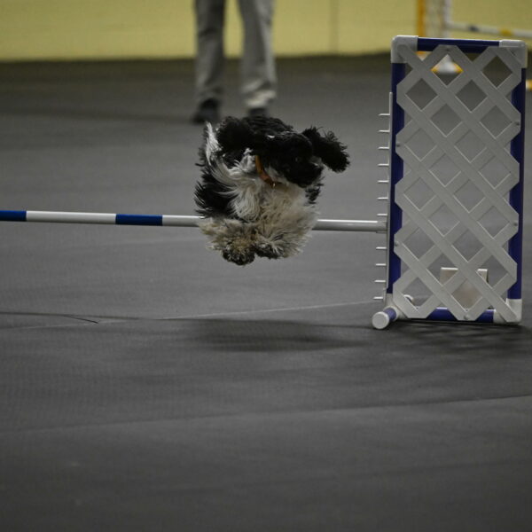 Latimer-Staats-13058