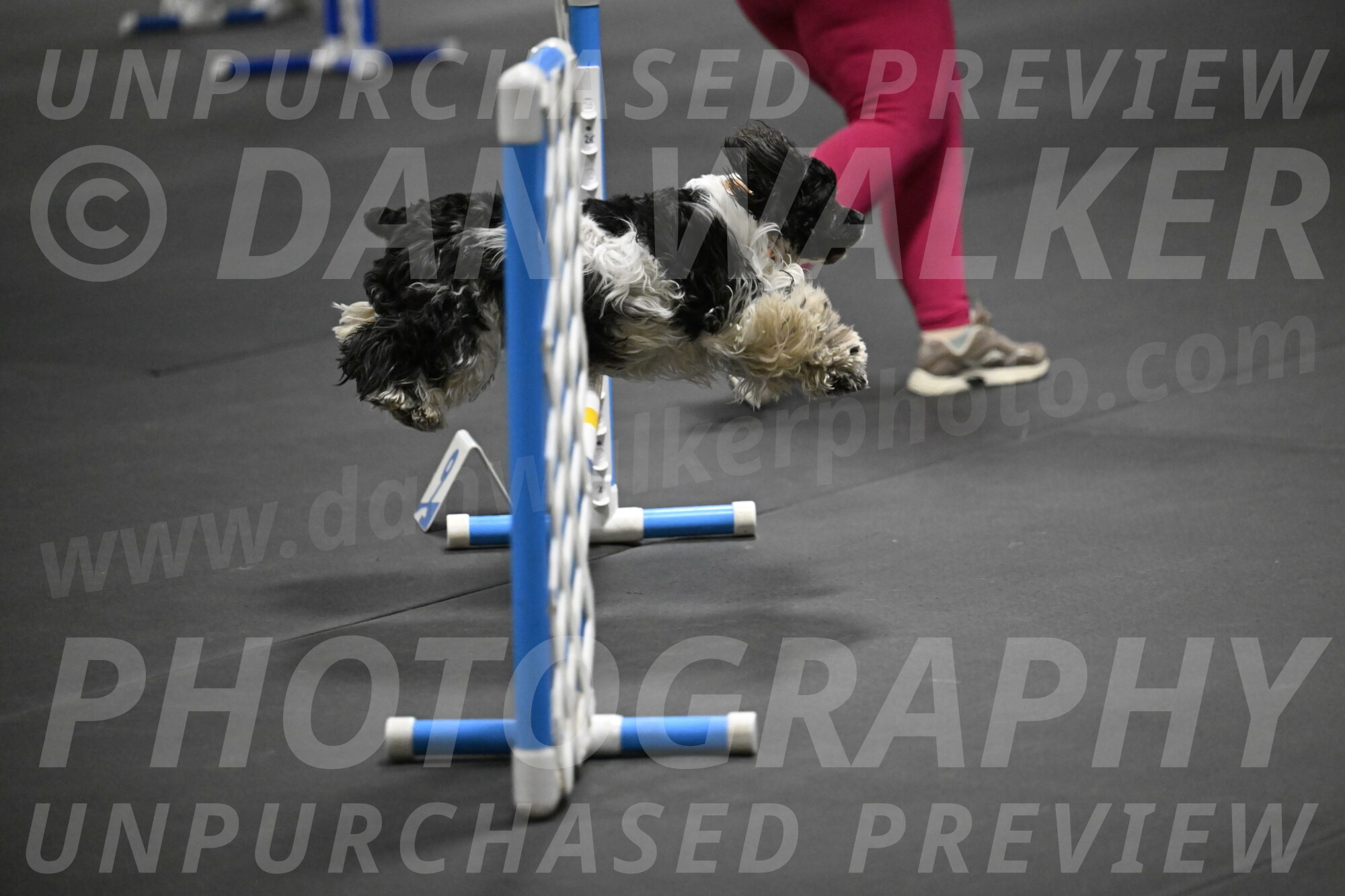 Latimer-Staats-13063