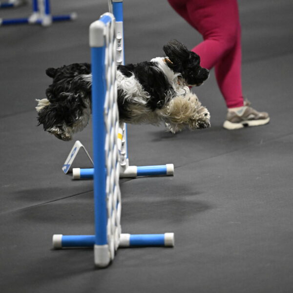 Latimer-Staats-13063