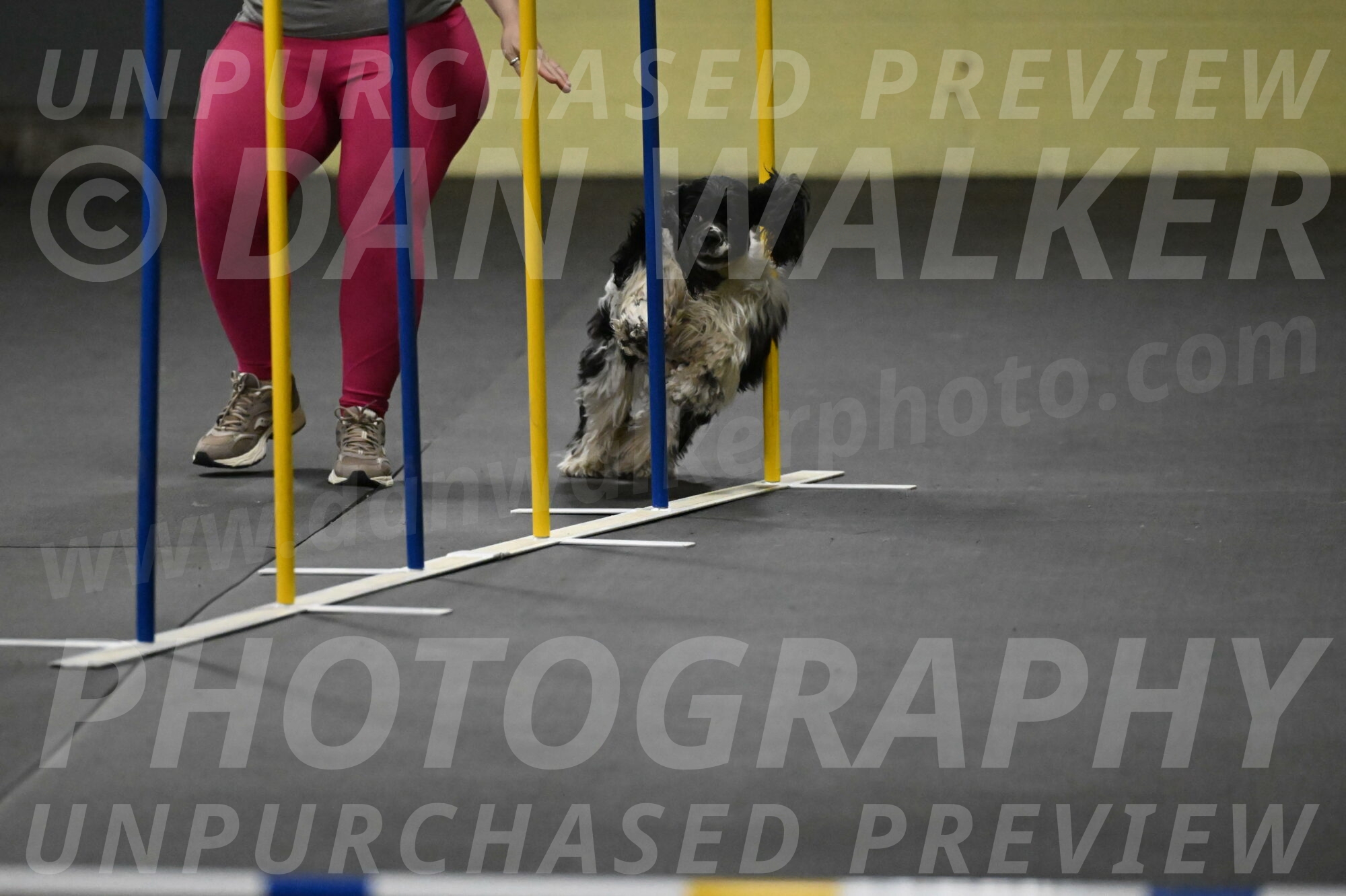 Latimer-Staats-13068