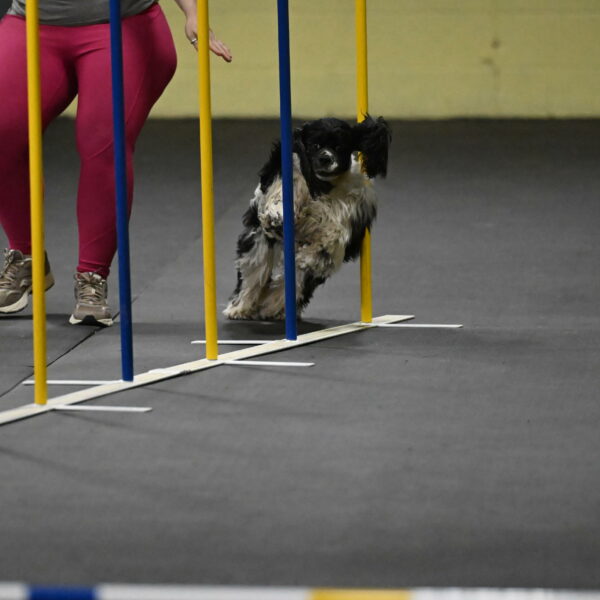 Latimer-Staats-13068