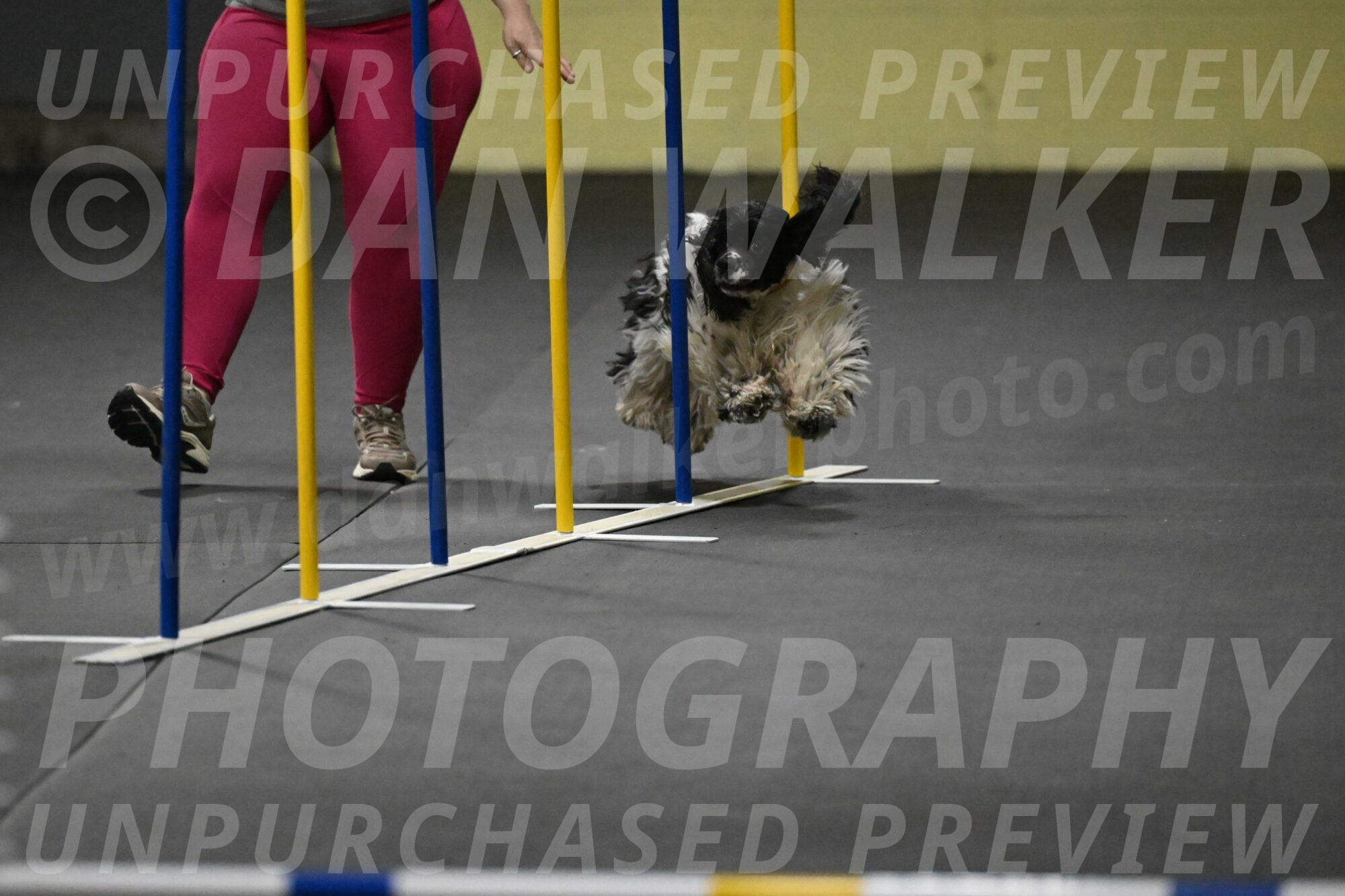 Latimer-Staats-13069