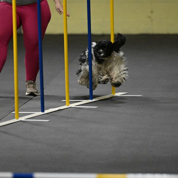 Latimer-Staats-13069