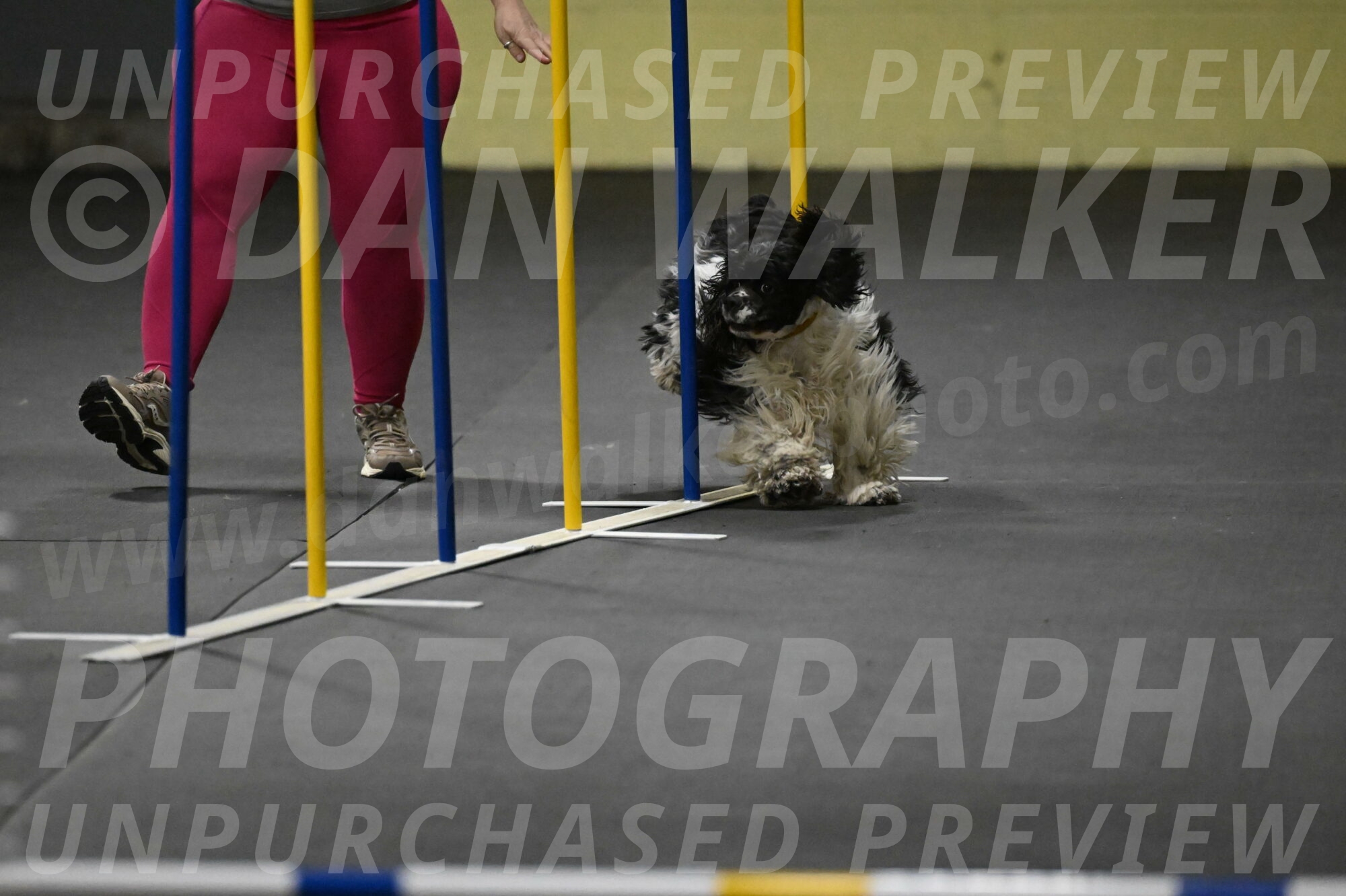 Latimer-Staats-13070