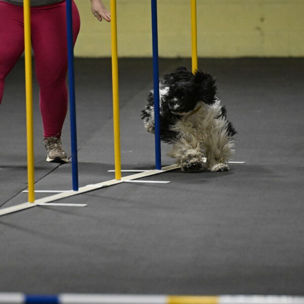 Latimer-Staats-13070