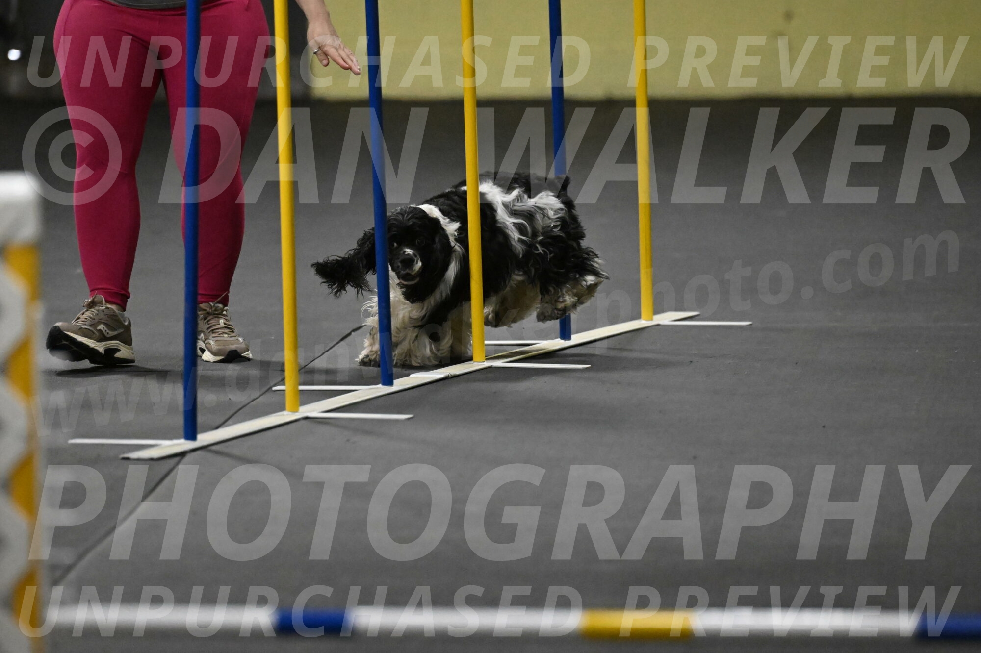 Latimer-Staats-13078