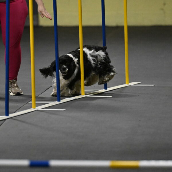 Latimer-Staats-13078