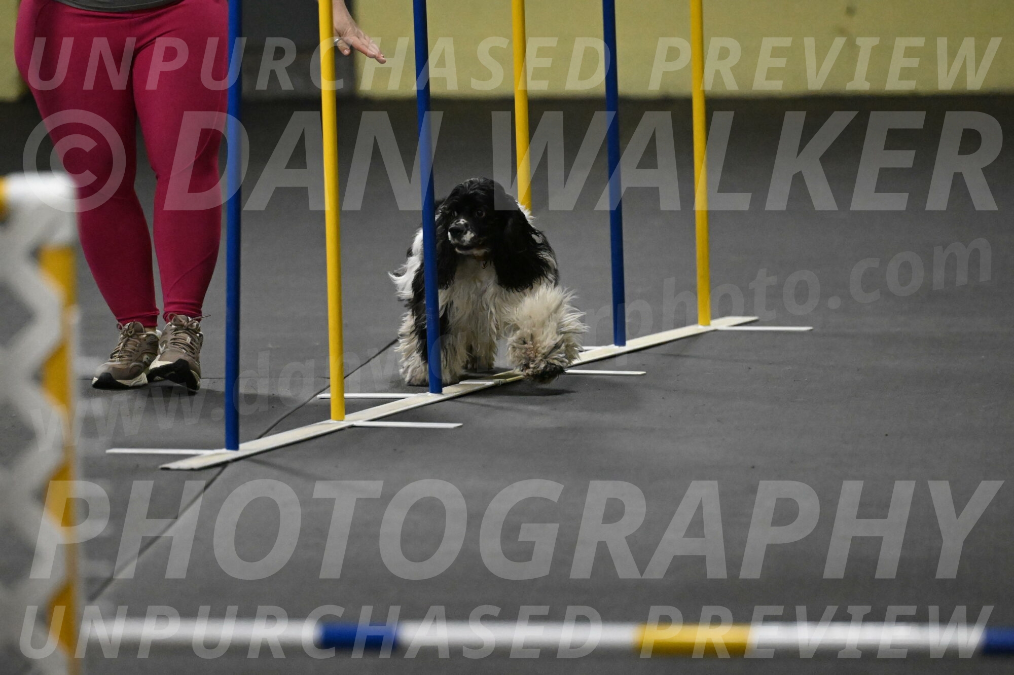 Latimer-Staats-13082