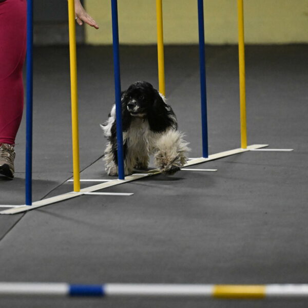 Latimer-Staats-13082