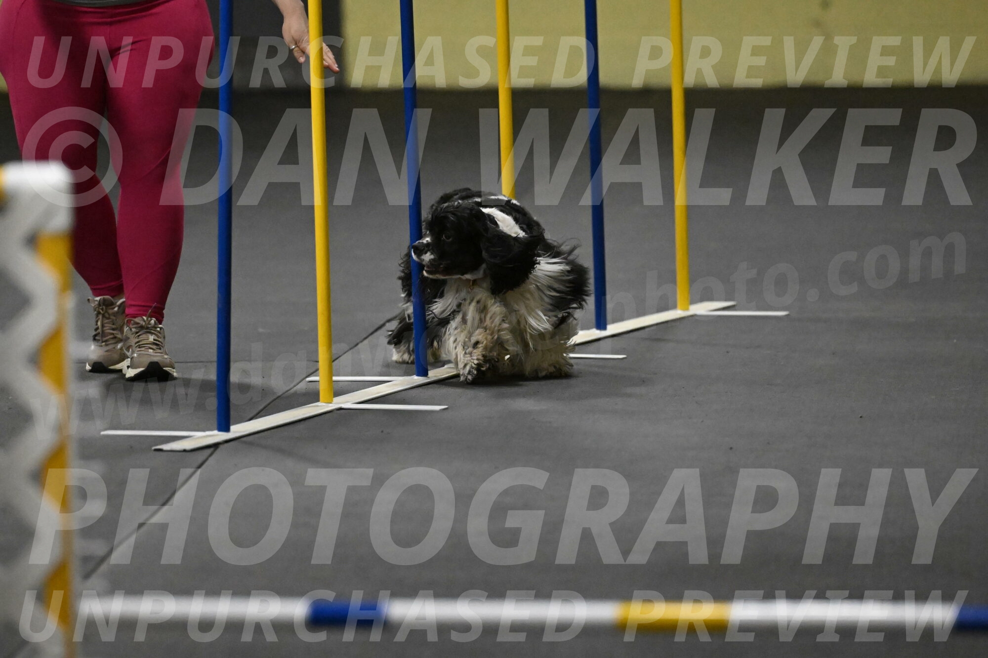 Latimer-Staats-13083