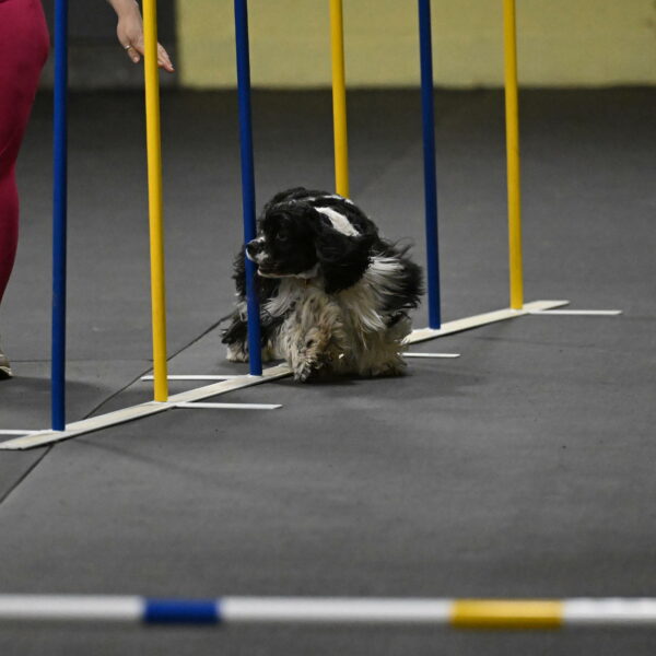 Latimer-Staats-13083