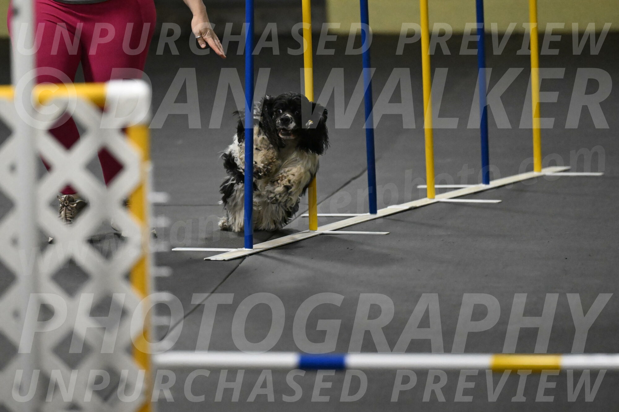 Latimer-Staats-13093