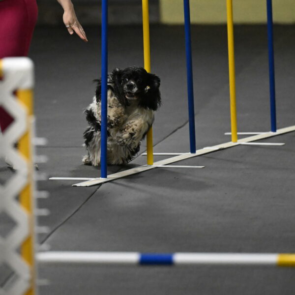 Latimer-Staats-13093