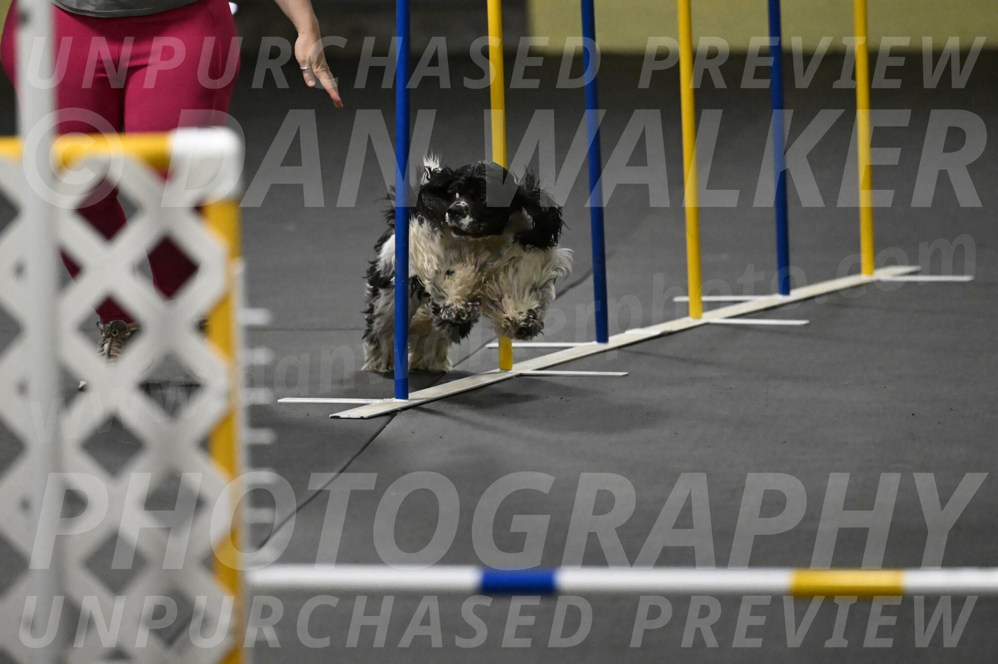 Latimer-Staats-13094