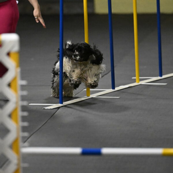 Latimer-Staats-13094