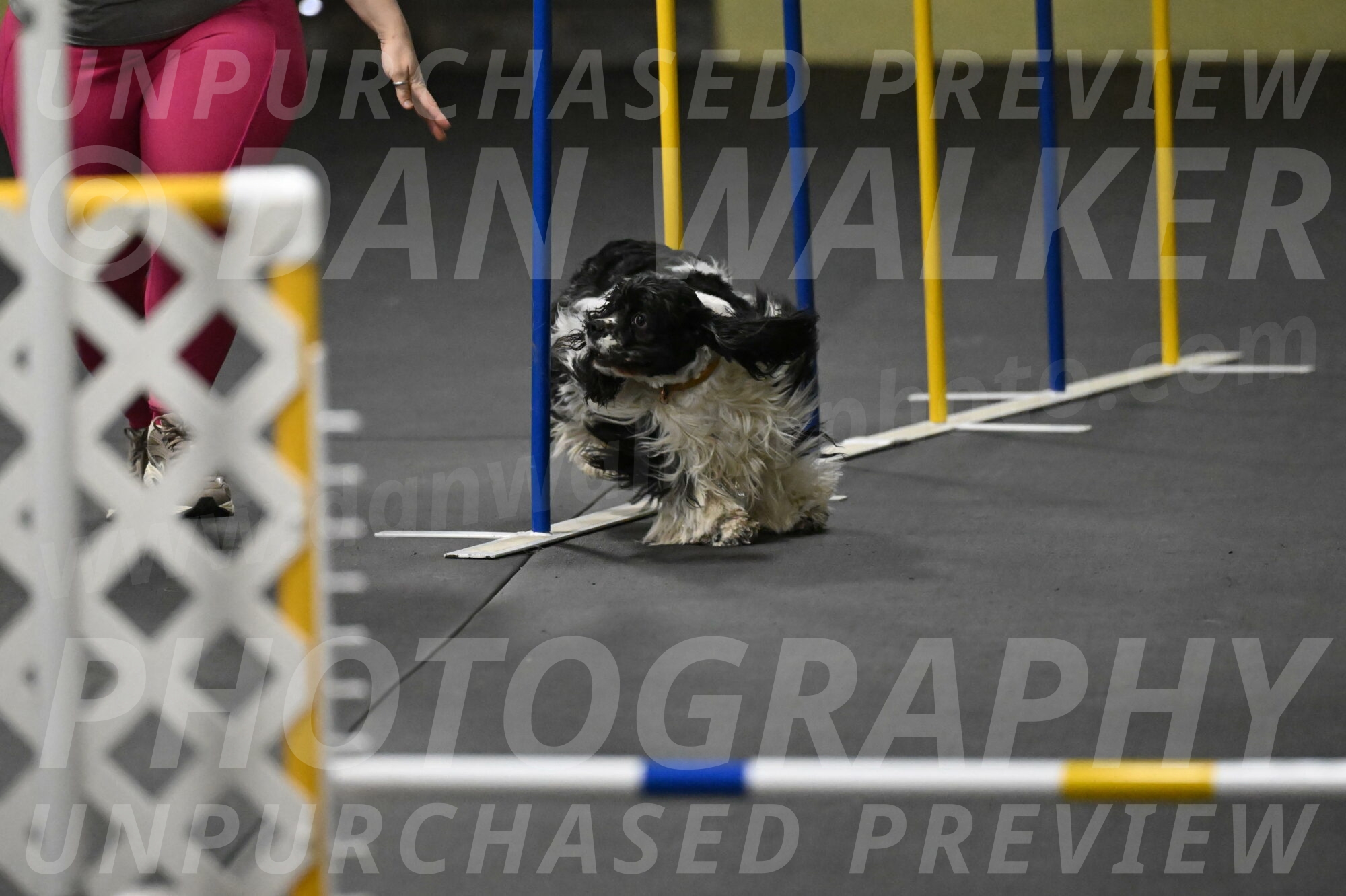 Latimer-Staats-13095