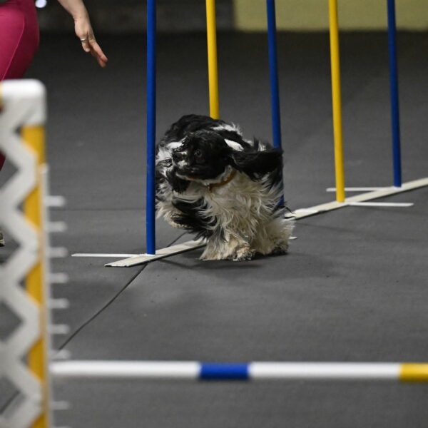 Latimer-Staats-13095