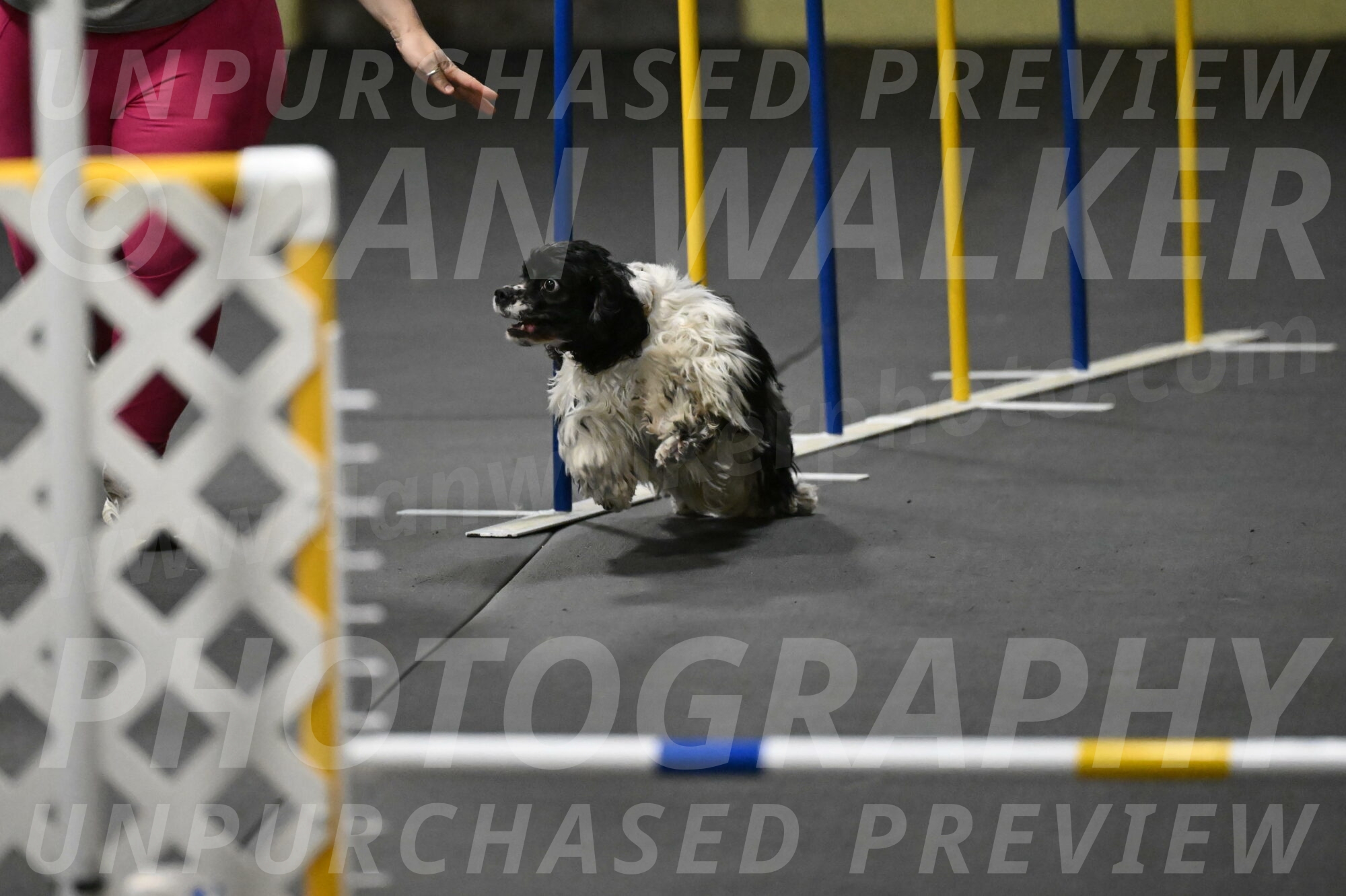 Latimer-Staats-13097