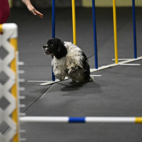 Latimer-Staats-13097