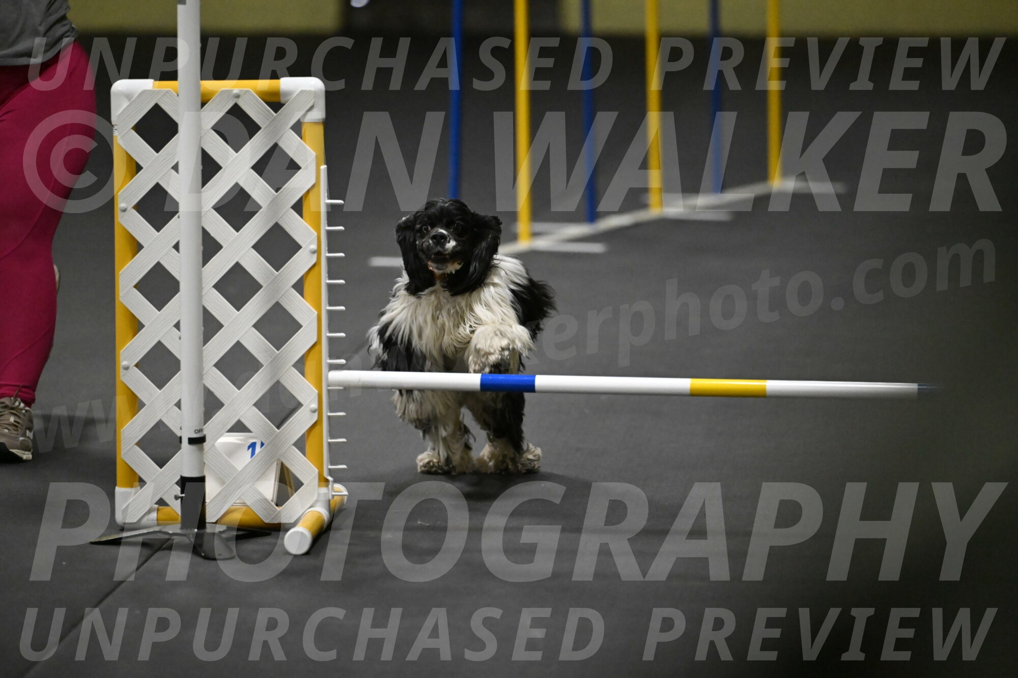 Latimer-Staats-13104