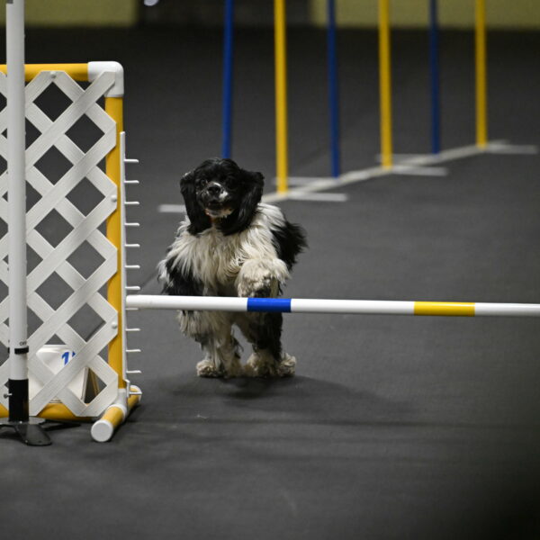 Latimer-Staats-13104