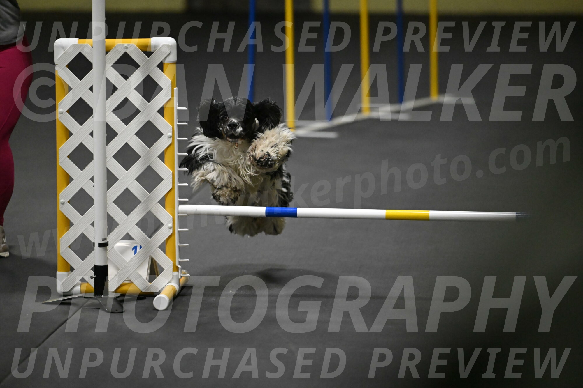 Latimer-Staats-13105