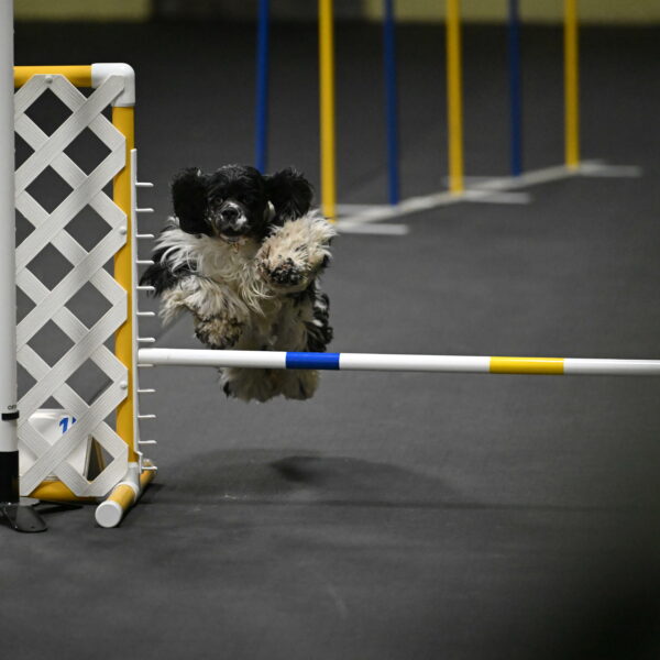 Latimer-Staats-13105