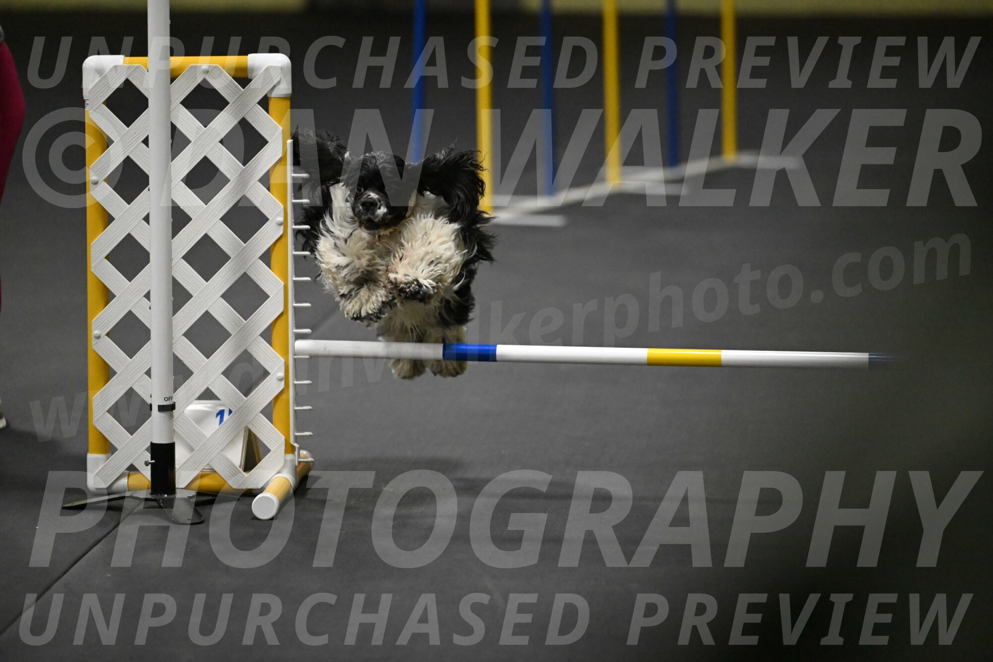 Latimer-Staats-13106