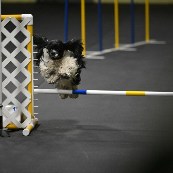 Latimer-Staats-13106