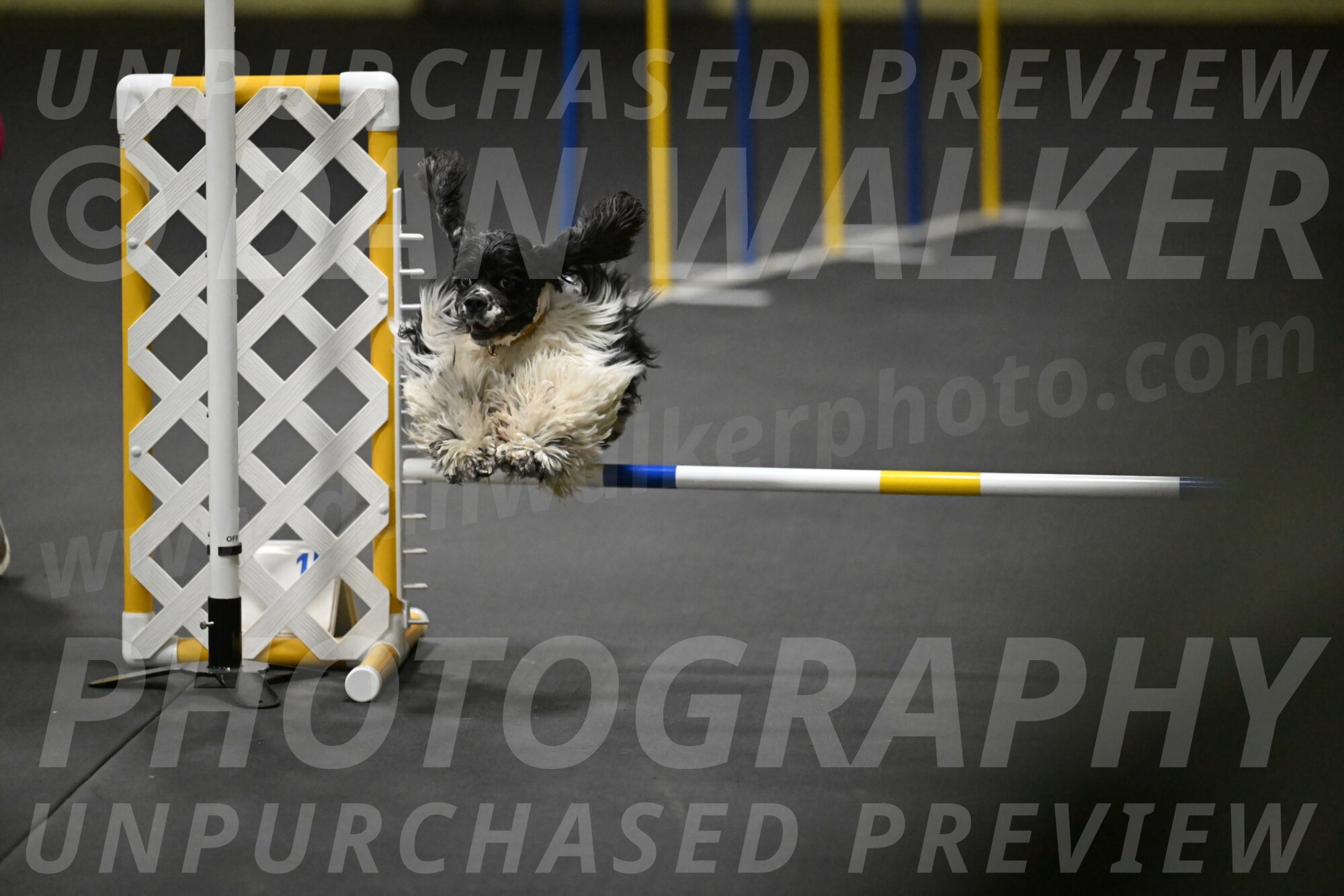 Latimer-Staats-13107