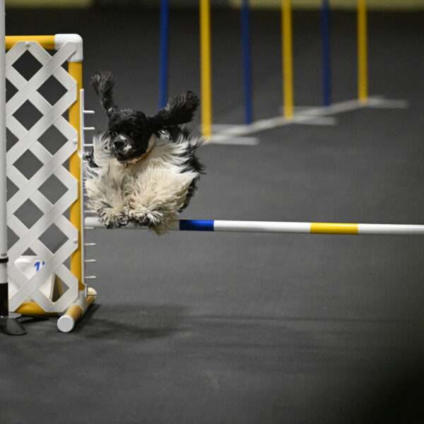 Latimer-Staats-13107