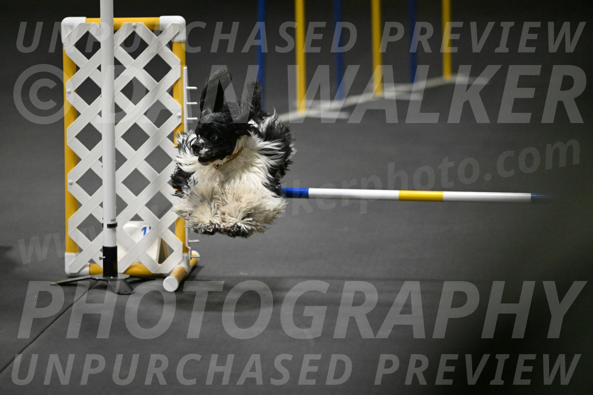 Latimer-Staats-13108