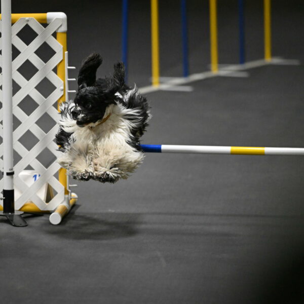 Latimer-Staats-13108