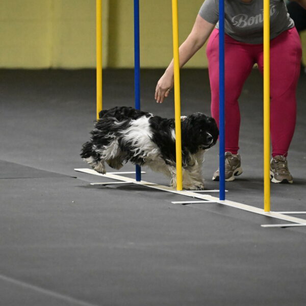 Latimer-Staats-13110